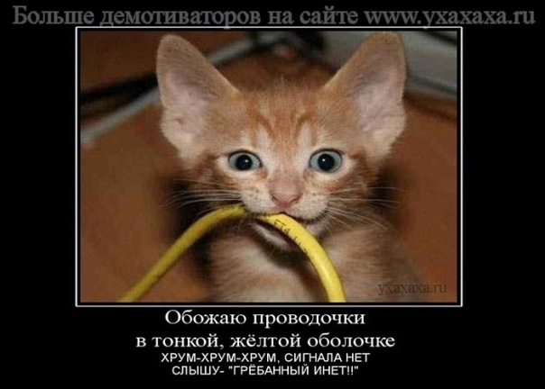 http://cs9325.vkontakte.ru/u94304997/128944248/x_9c8ed337.jpg